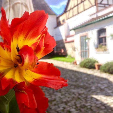 3 Seiten Ferienwohnung Jena Exterior foto
